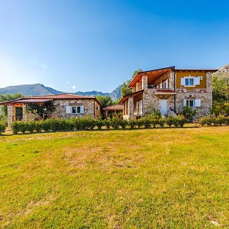 Siar The Large By Pikhost *