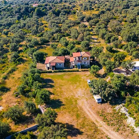 Siar The Large By Pikhost * بورش