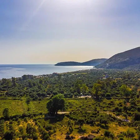 فيلة Siar The Large By Pikhost بورش