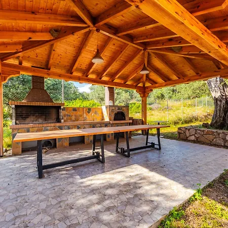 فيلة Siar The Large By Pikhost بورش