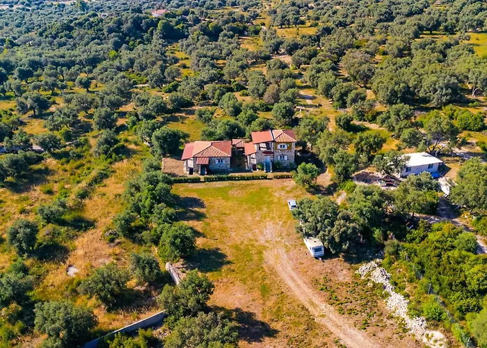 Siar The Large By Pikhost * Borş